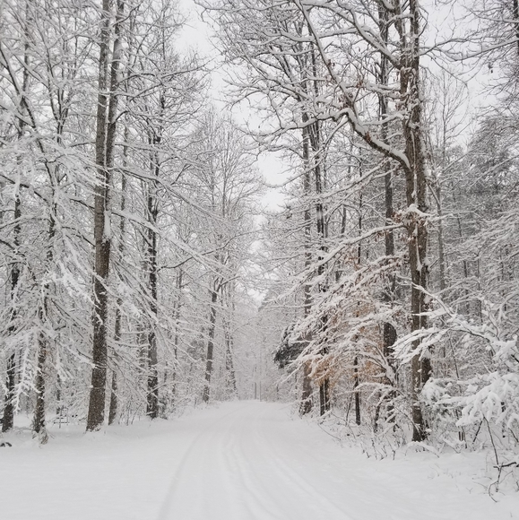 Meet your Posher, Brandi - Picture 9 of 12